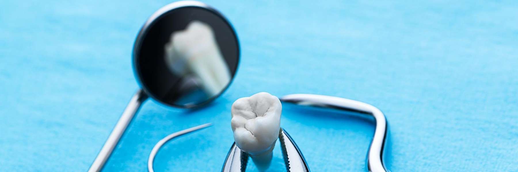 dental tool with tooth