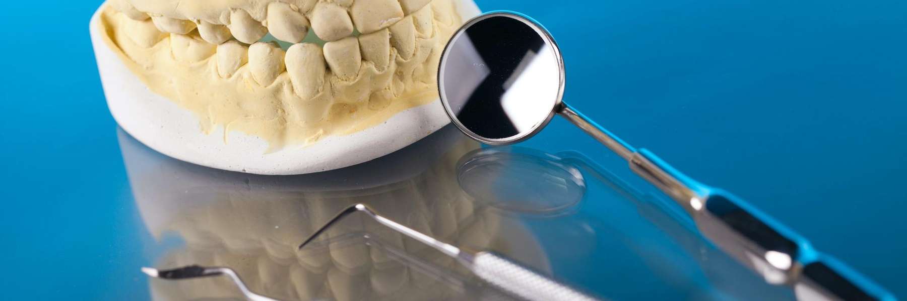 Dental model with mirror showcasing the importance of children's dental care.
